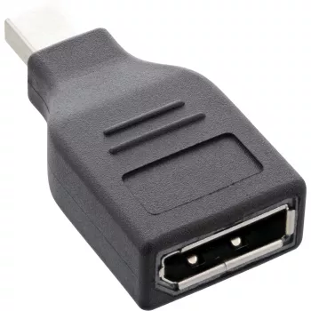 InLine DisplayPort adapteris, mini DisplayPort vīrišķais / DisplayPort sievišķais, 4K/60Hz