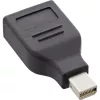 InLine DisplayPort adapteris, mini DisplayPort vīrišķais / DisplayPort sievišķais, 4K/60Hz