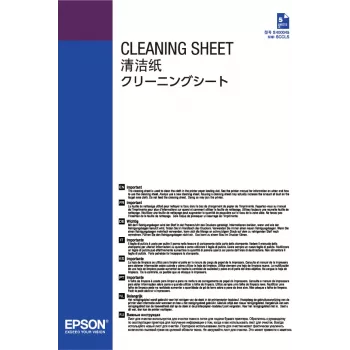 Epson C13S400045 printera tīrīšanas lapa