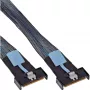 InLine 27661A Serial Attached SCSI (SAS) kabelis 0.5 m 24 Gbit/s Melns, Zils, Pelēks