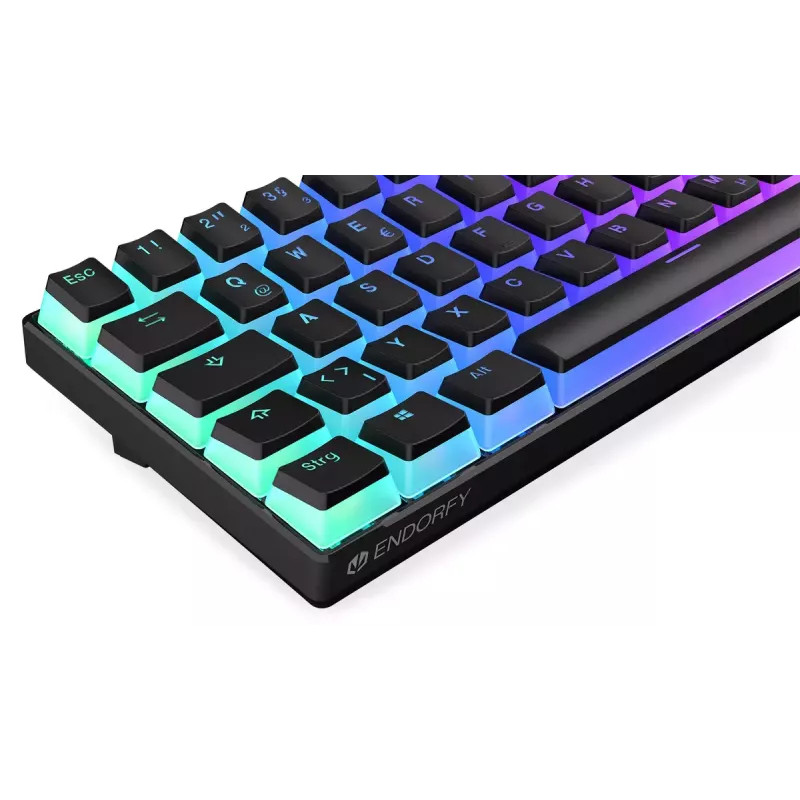 Spēļu tastatūra ENDORFY Thock Compact RF Wireless USB QWERTZ 61 taustiņi RGB LED