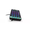 Spēļu tastatūra ENDORFY Thock Compact RF Wireless USB QWERTZ 61 taustiņi RGB LED
