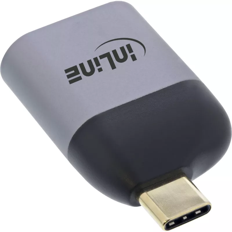 USB displeja pārveidotājs InLine 64106D USB-C vīrišķā uz DisplayPort sievišķo 8K60Hz