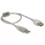 USB kabelis DeLOCK 82244 USB 2.0 0,3 m Caurspīdīgs