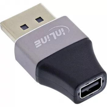 InLine 17291B kabeļa savienotāja adapteris DisplayPort Mini DisplayPort Melns, Pelēks