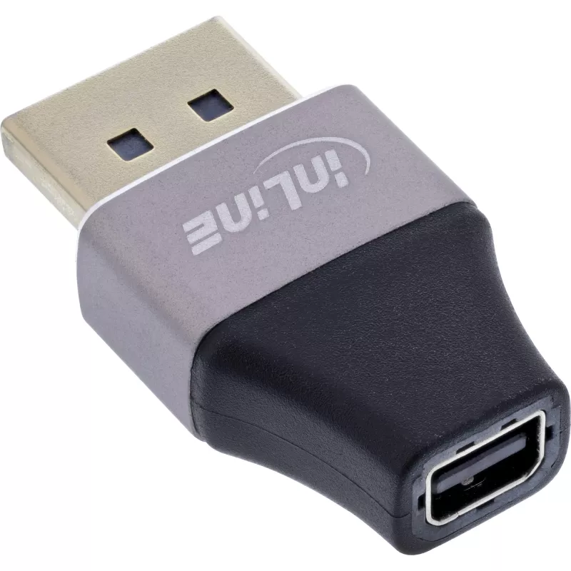 InLine 17291B kabeļa savienotāja adapteris DisplayPort Mini DisplayPort Melns, Pelēks