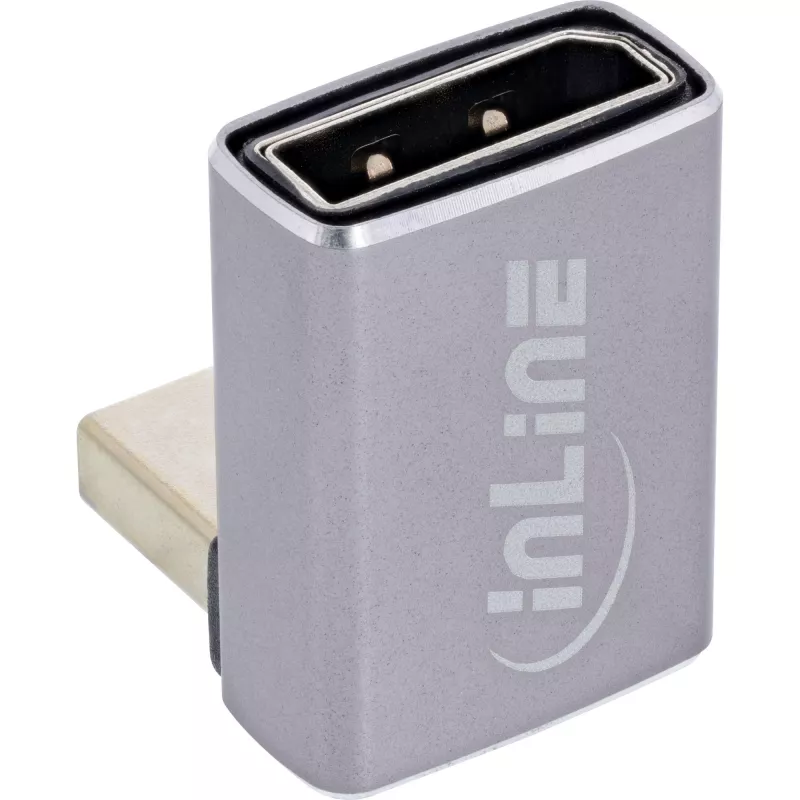 InLine 17291F kabeļa savienotāja pārveidotājs DisplayPort uz Mini DisplayPort pelēks melns