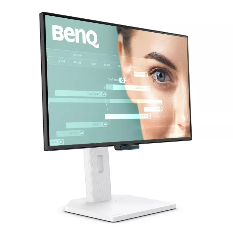 Datora monitors BenQ GW2490TC 24 collas (61 cm) IPS Full HD 1920x1080 LED, 5 ms, 178° skata leņķis, iebūvēti skaļruņi, VESA, melns/balts