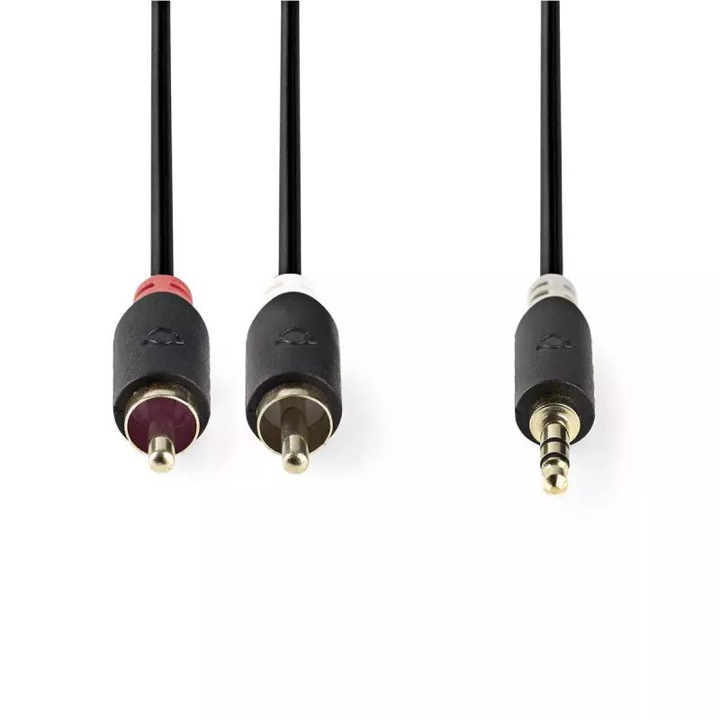 Audio kabelis Nedis CABW22200AT20 2m 3.5mm 2 x RCA antracīts