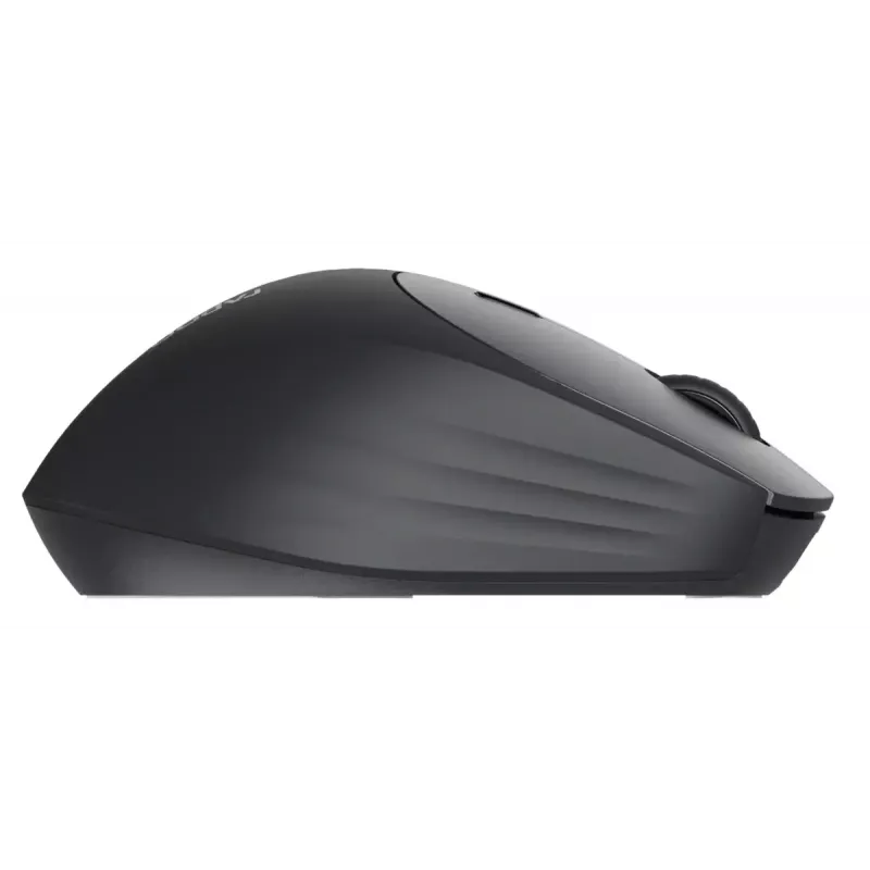 Pele Rapoo MT560