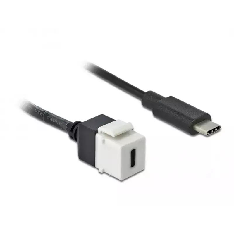 DeLOCK 86399 Keystone modulis, plakans, melns/baltss, USB C