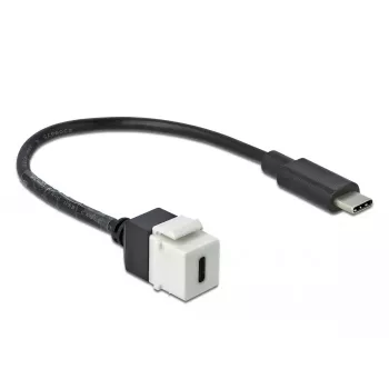 DeLOCK 86399 Keystone modulis, plakans, melns/baltss, USB C