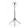 Apgaismojuma gredzens Hama SpotLight Steady 120 III 160 LED 1020 lm 3000 K