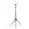 Apgaismojuma gredzens Hama SpotLight Steady 120 III 160 LED 1020 lm 3000 K