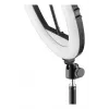 Apgaismojuma gredzens Hama SpotLight Steady 120 III 160 LED 1020 lm 3000 K
