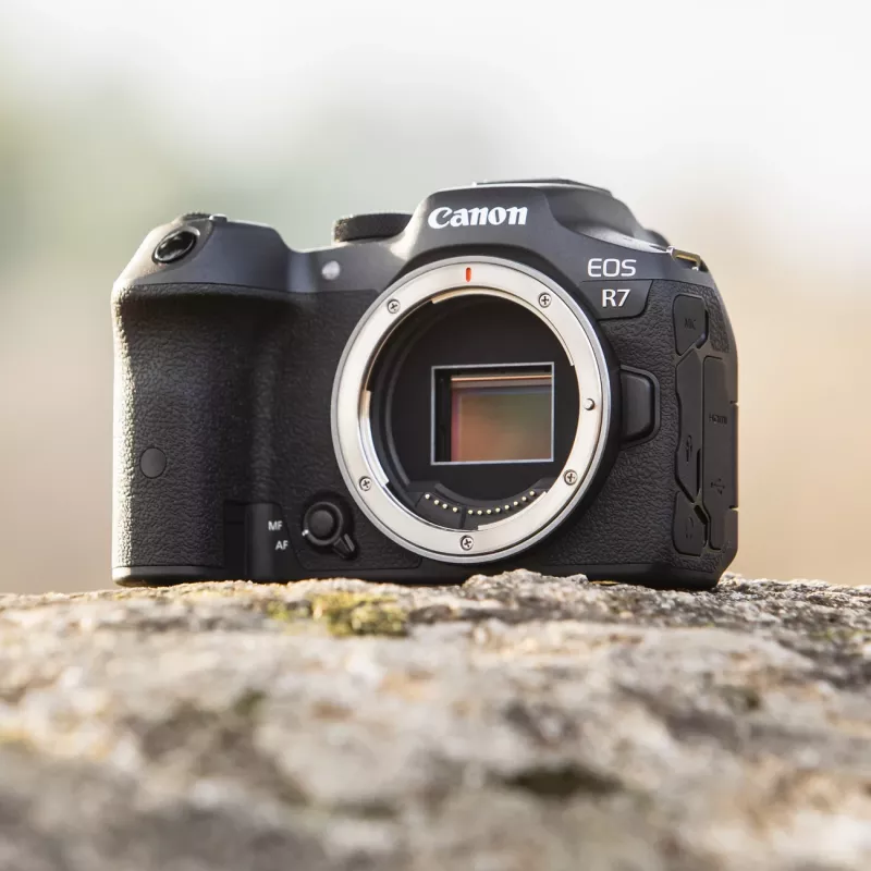 Canon EOS R7 MILC korpuss 32,5 MP CMOS 6960 x 4640 pikseļi Melns