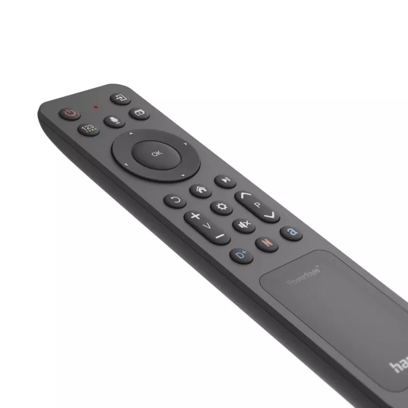 Hama 00221058 tālvadības pults Bluetooth TV spiedpogas