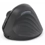 Hama EWM-600R pele Ofiss Labroku RF bezvadu + Bluetooth optiskā 1800 DPI