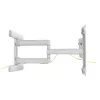 InLine Premium Aluminium Wall Mount for plakans TV 37-80 inch balta 70 kg