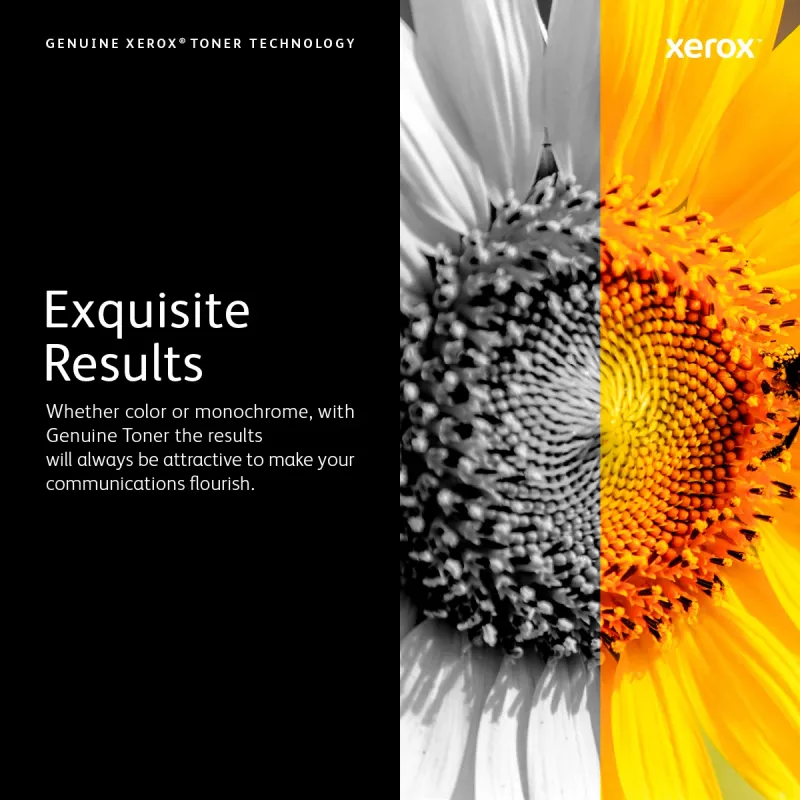 Xerox 6R1513 tonera kārtridžs 1 gab. Oriģināls Melns