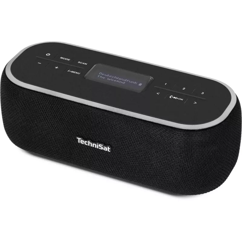 Pārnēsājamais radio TechniSat 0000/3968