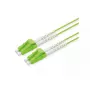 ROLINE InfiniBand/optiskās šķiedras kabelis 1m 2x LC Zaļš OM5 50µm