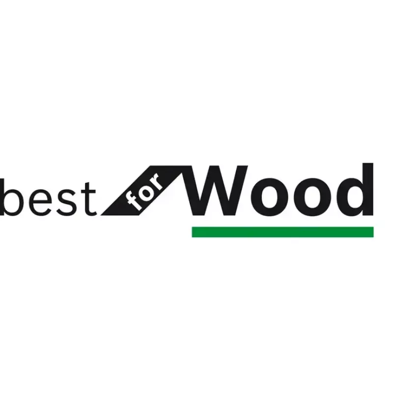 Apļveida zāģa asmens Bosch Best for Wood 16,5 cm