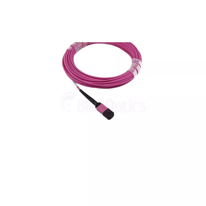 BlueOptics InfiniBand/optiskās šķiedras kabelis 7,5 m MPO OM4