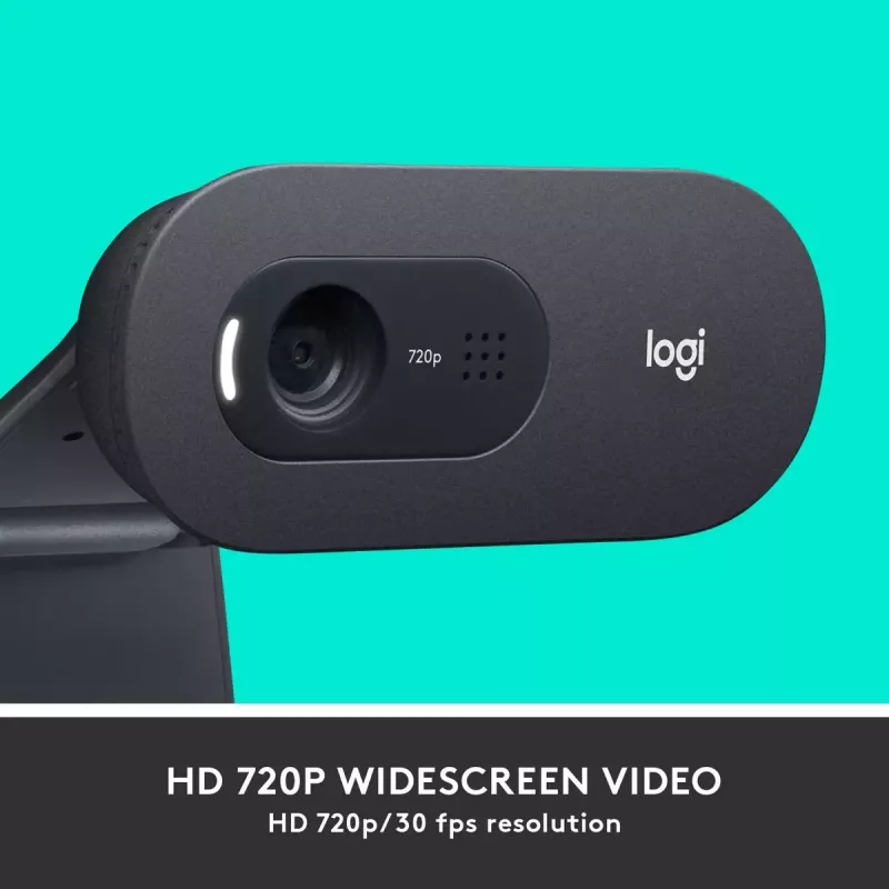 Tīmekļkamera Logitech C505 HD 1280x720 USB Melna