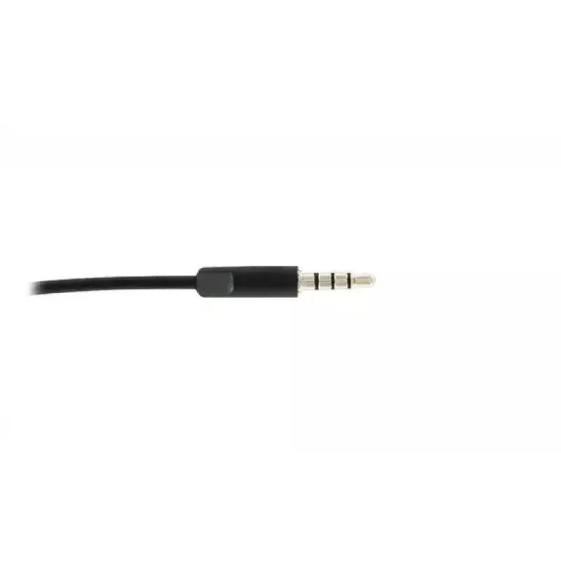 Austiņas Logitech H150 Stereo Headset