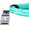 InfiniBand/optiskās šķiedras kabelis BlueOptics BO353503J1M-BO 1 m SFP+