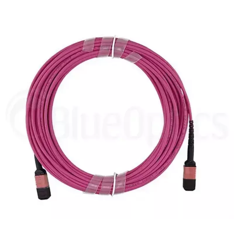 Optiskās šķiedras kabelis MPO BlueOptics CBL-MPO12-OM4-1M 1m OM4