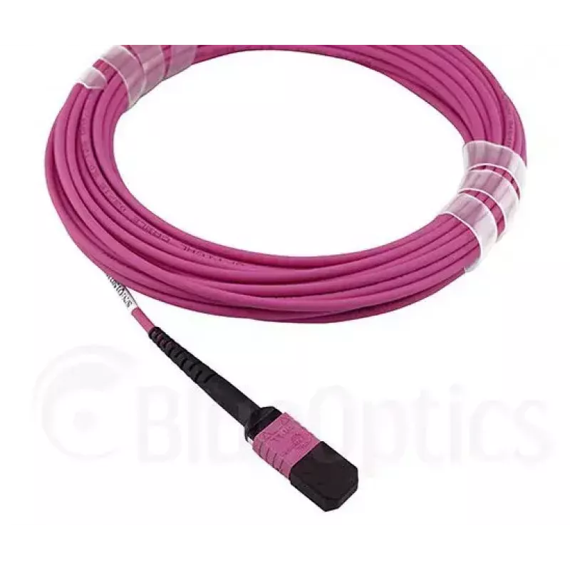 BlueOptics CBL-MPO12-OM4-2M InfiniBand optiskās šķiedras kabelis MPO 2m OM4