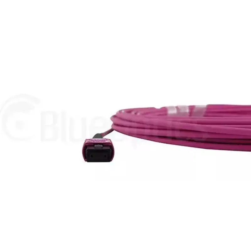 BlueOptics CBL-MPO12-OM4-2M InfiniBand optiskās šķiedras kabelis MPO 2m OM4