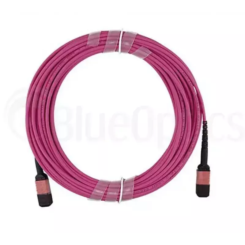 BlueOptics CBL-MPO12-OM4-2M InfiniBand optiskās šķiedras kabelis MPO 2m OM4