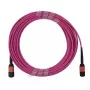 BlueOptics CBL-MPO12-OM4-2M InfiniBand optiskās šķiedras kabelis MPO 2m OM4