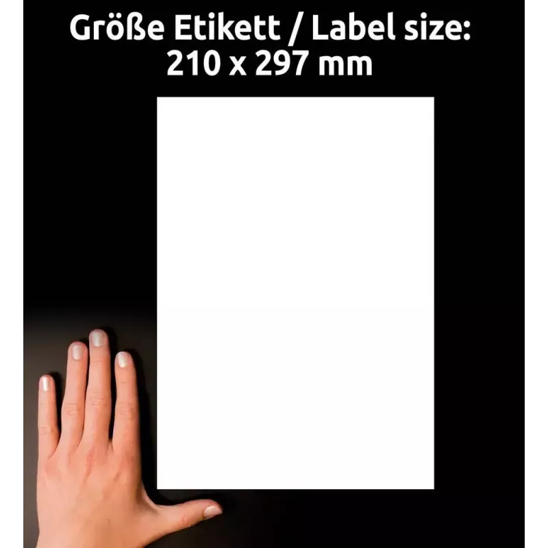 Pašlīmējošā etiķete Avery L4775-20 Noapaļots taisnstūris