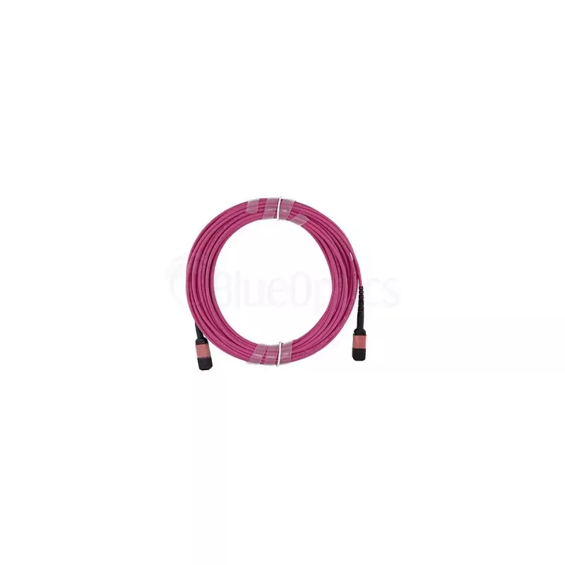 Optiskās šķiedras kabelis BlueOptics SFP5252FU50MKB MPO OM4 50 m Violeta