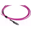 Optiskās šķiedras kabelis BlueOptics SFP9231FU3MK MDC LC OM4 3 m fuksīna