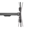 InLine XL-Arm pilnas kustības TV sienas stiprinājums, 43–80 collu plakanā paneļa televizoriem, maks. 50 kg