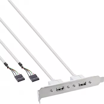 InLine spraudņa kronšteins 2x USB 2.0 Type A sieviešu uz 2x 5 kontaktu iekšējo savienotāju 0.3 m