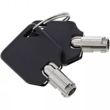 InLine piezīmjdatora drošības trosīte ar atslēgu 4,4 mm x 2 m