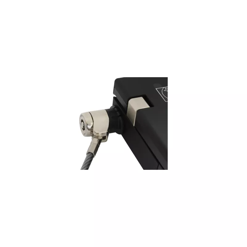 InLine piezīmjdatora drošības trosīte ar atslēgu 4,4 mm x 2 m