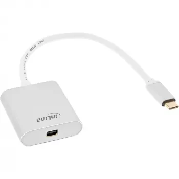InLine USB displeja pārveidotājs 64105S USB-C vīrišķā ligzda uz Mini DisplayPort 4K 60Hz sudraba