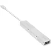 InLine USB Display Converter Set 6-in-1, 4K/60Hz sudraba