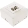 Wall Outlet Box surface or concealed mount 2x RJ45 vertical InLine 75602K