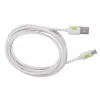 Techly ICOC MUSB20-CMAM20TW USB kabelis USB 2.0 2 m USB A USB C Balts