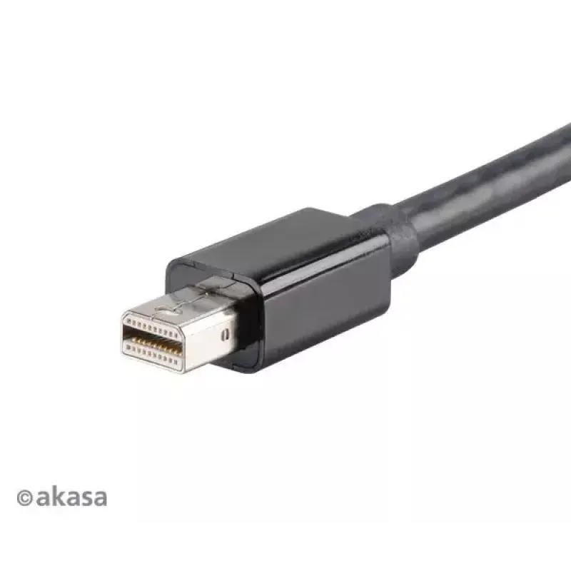 USB grafiskais adapteris Akasa AK-CBDP07-20BK