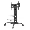 Techly ICA-TR8 stends reklāmas displejiem 177,8 cm (70 collas) melns