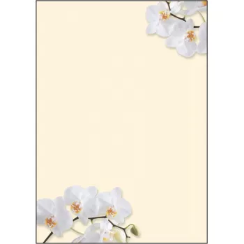 Art Paper Sigel DP904 50 loksnes